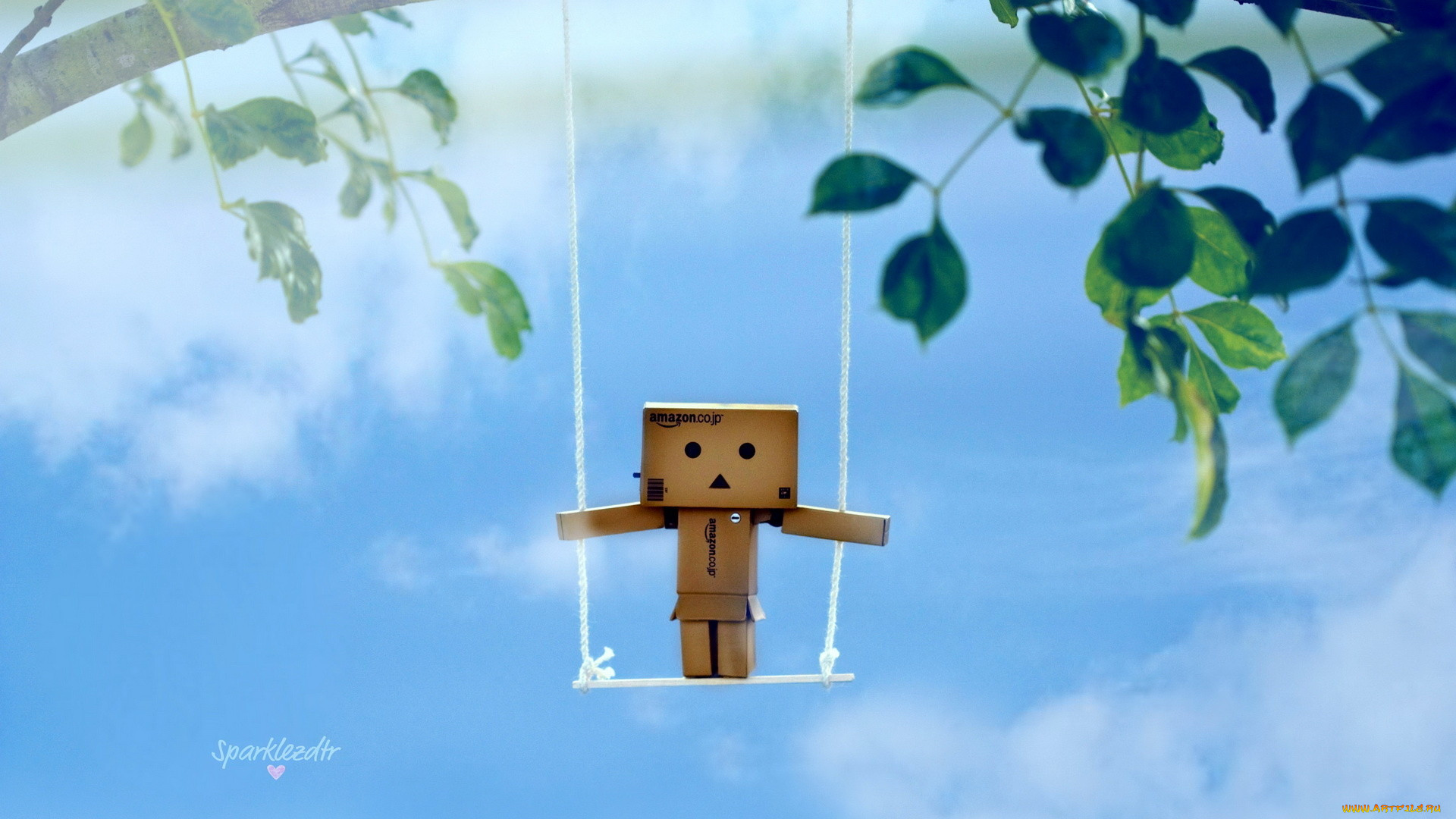 , , danboard